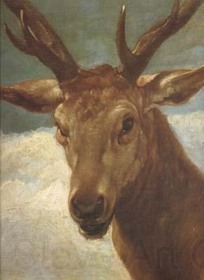 Diego Velazquez Head of a Stag (df01) France oil painting art
